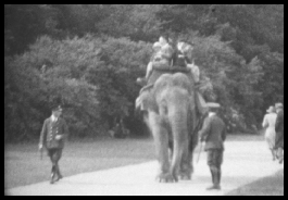 Whipsnade1932